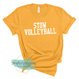 YOUTH Stow Volleyball17