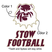 Holy Family Football9
